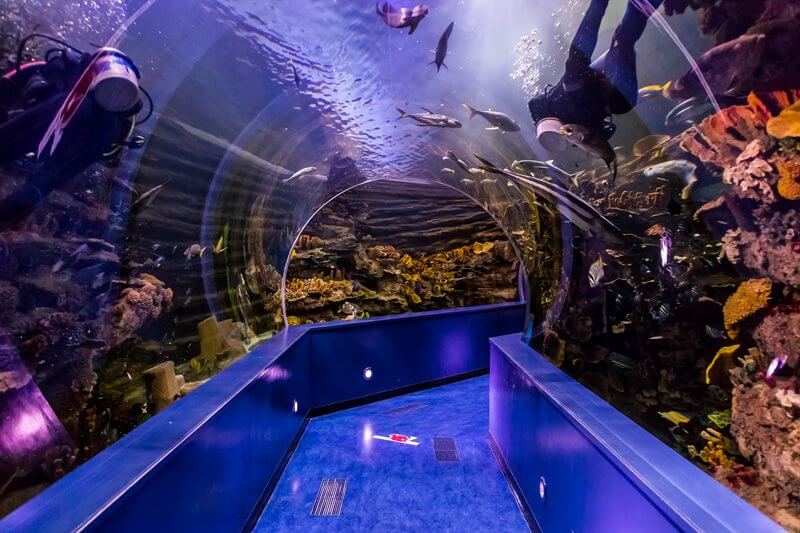 Dubai Aquarium & Underwater Zoo