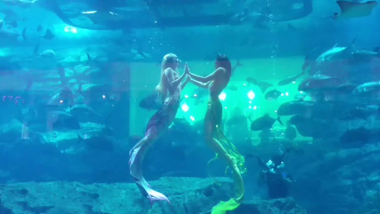 Mermaid show-Dubai Mall Aquarium