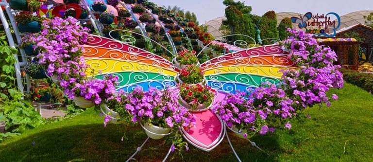 How to go Dubai Miracle Garden Complete Guide