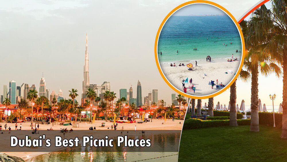 14 Best Picnic Spots in DUBAI – Cost Your Almost NOTHING