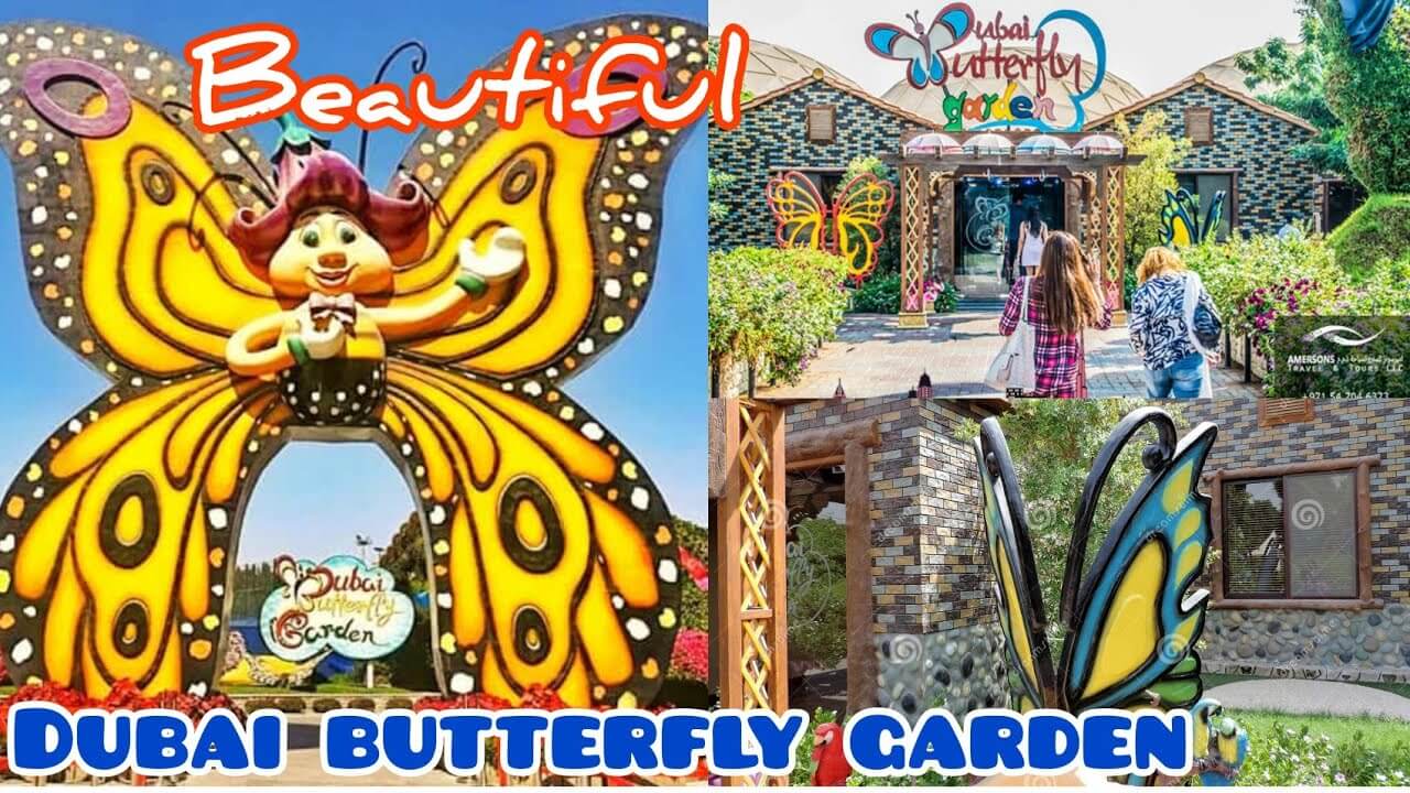 Butterfly Garden Dubai