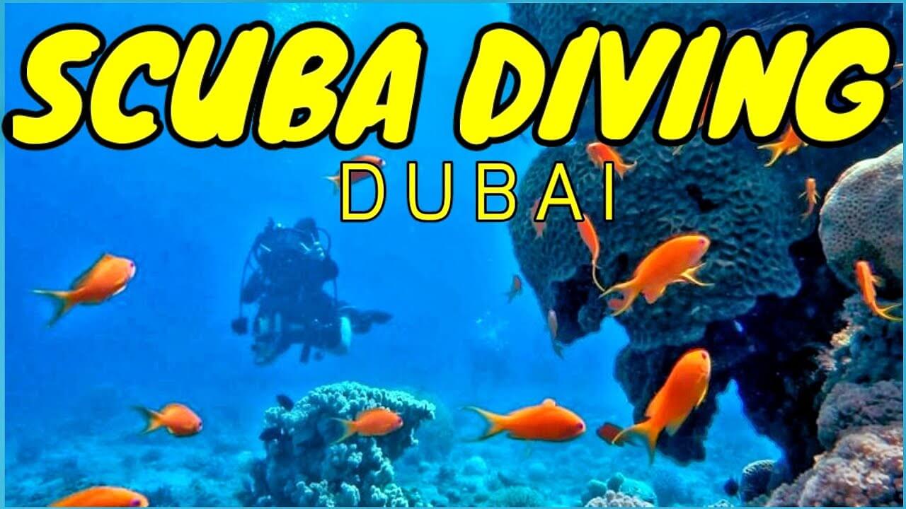 Scuba Diving Dubai