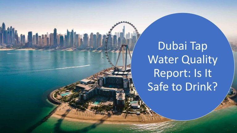 Can you Drink Tap Water in Dubai? Is it Safe for Everyone?